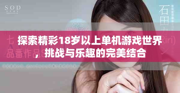 探索精彩18歲以上單機游戲世界，挑戰(zhàn)與樂趣的完美結(jié)合