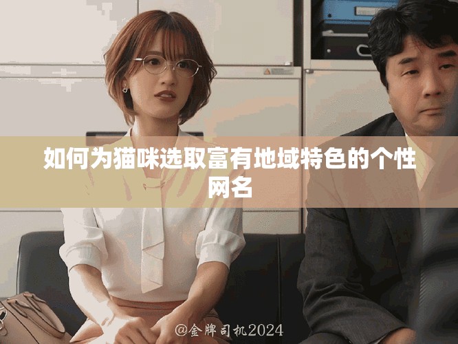 如何為貓咪選取富有地域特色的個(gè)性網(wǎng)名