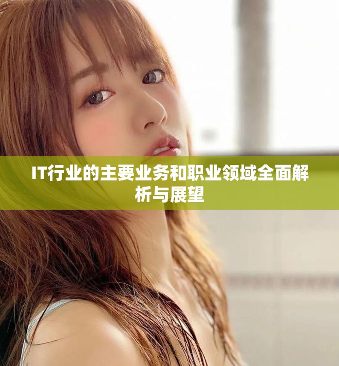 IT行業(yè)的主要業(yè)務和職業(yè)領域全面解析與展望