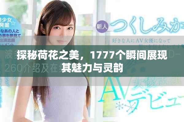 探秘荷花之美，1777個瞬間展現(xiàn)其魅力與靈韻