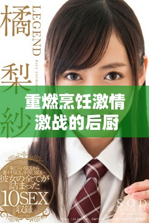 重燃烹飪激情 激戰(zhàn)的后廚2完整版精彩回顧與劇情分析