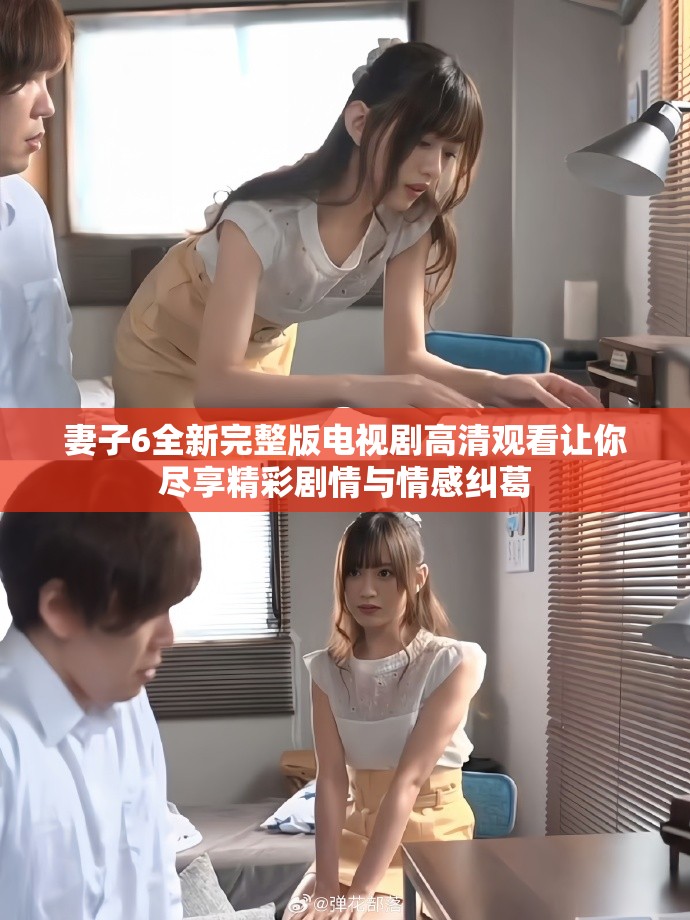 妻子6全新完整版電視劇高清觀看讓你盡享精彩劇情與情感糾葛