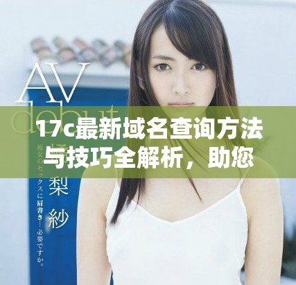 17c最新域名查詢方法與技巧全解析，助您輕松獲取信息
