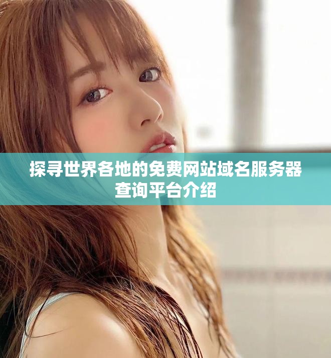 探尋世界各地的免費網(wǎng)站域名服務(wù)器查詢平臺介紹
