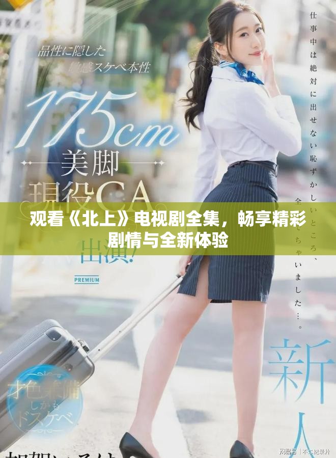 觀看《北上》電視劇全集，暢享精彩劇情與全新體驗(yàn)