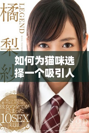 如何為貓咪選擇一個吸引人的獨特地域網名