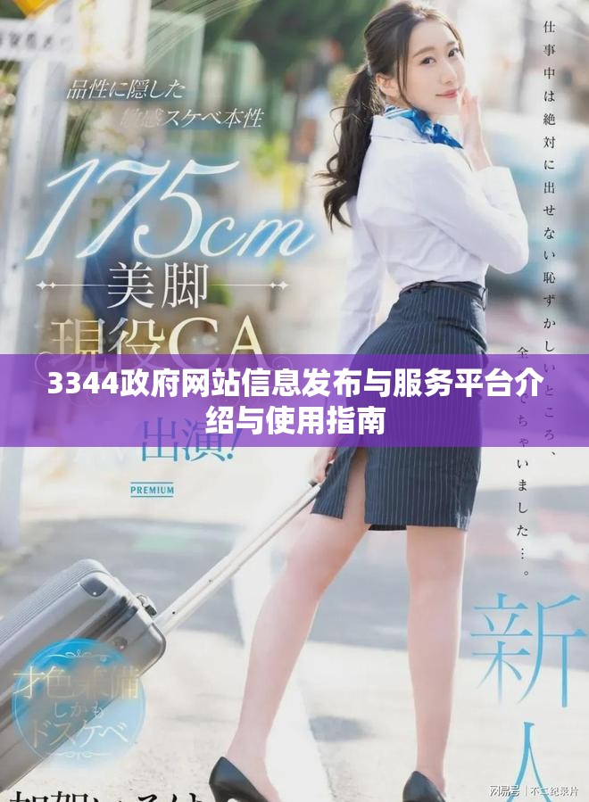 3344政府網(wǎng)站信息發(fā)布與服務(wù)平臺(tái)介紹與使用指南
