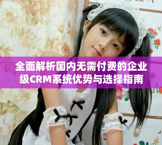 全面解析國內(nèi)無需付費的企業(yè)級CRM系統(tǒng)優(yōu)勢與選擇指南