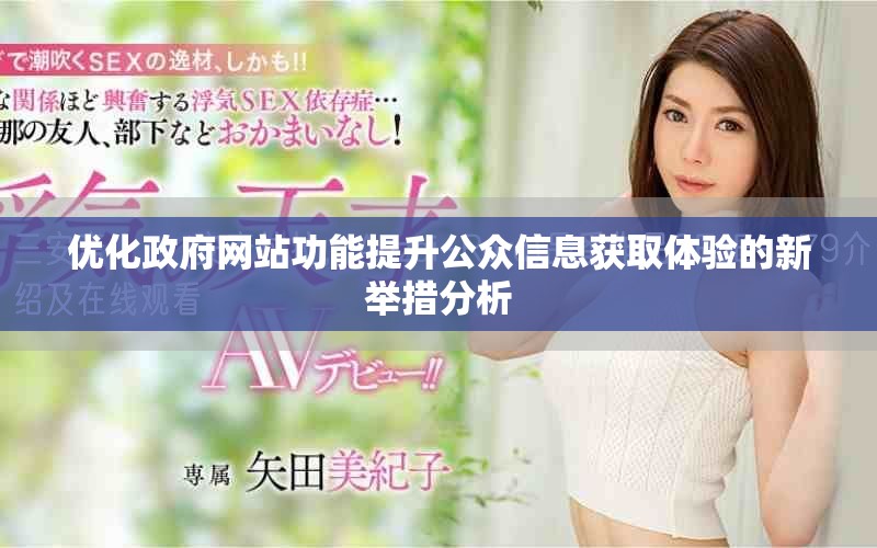 優(yōu)化政府網(wǎng)站功能提升公眾信息獲取體驗的新舉措分析