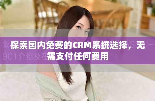 探索國內(nèi)免費的CRM系統(tǒng)選擇，無需支付任何費用