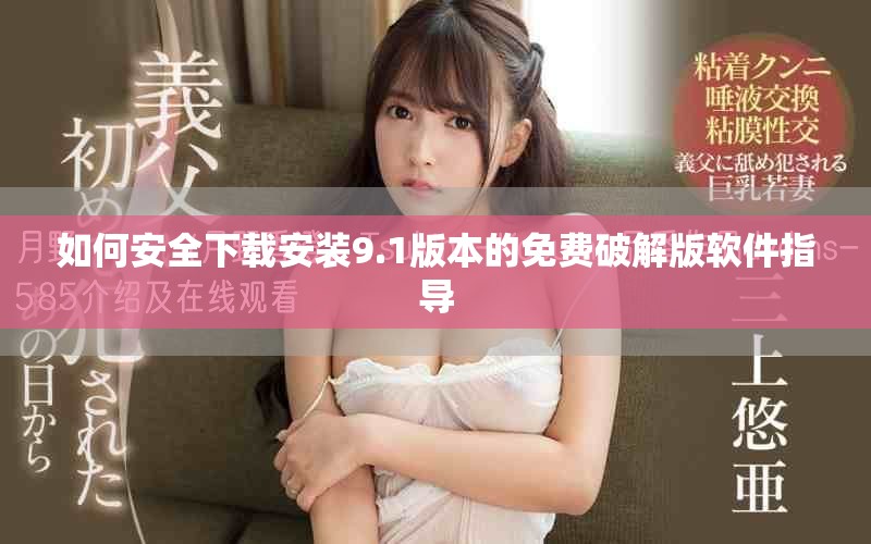 如何安全下載安裝9.1版本的免費破解版軟件指導