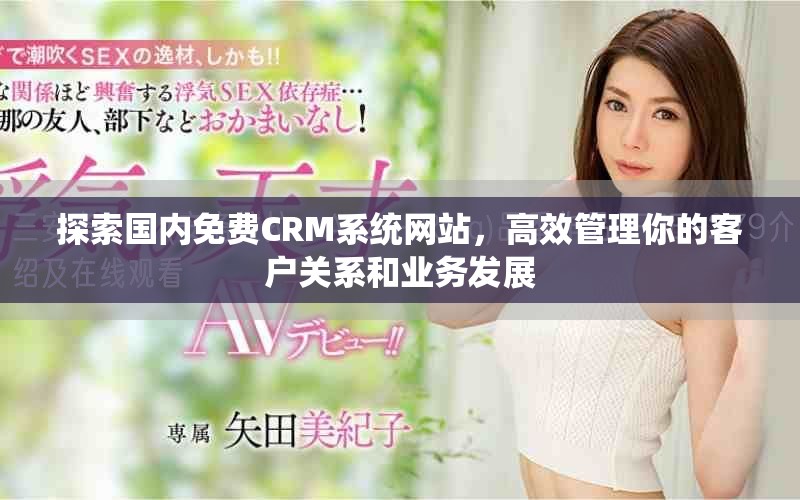 探索國內(nèi)免費(fèi)CRM系統(tǒng)網(wǎng)站，高效管理你的客戶關(guān)系和業(yè)務(wù)發(fā)展