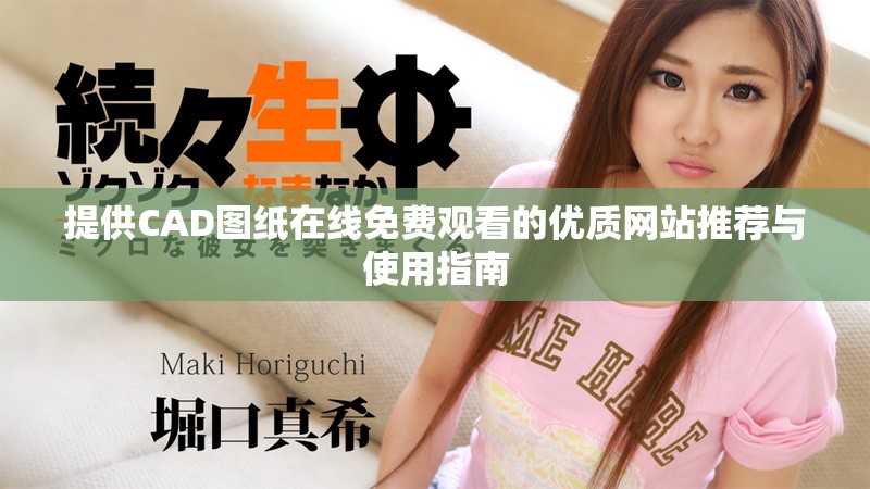 提供CAD圖紙在線免費觀看的優(yōu)質(zhì)網(wǎng)站推薦與使用指南