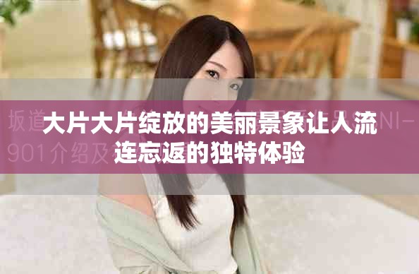 大片大片綻放的美麗景象讓人流連忘返的獨(dú)特體驗(yàn)