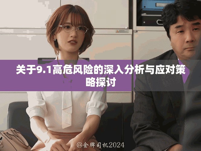 關(guān)于9.1高危風險的深入分析與應對策略探討