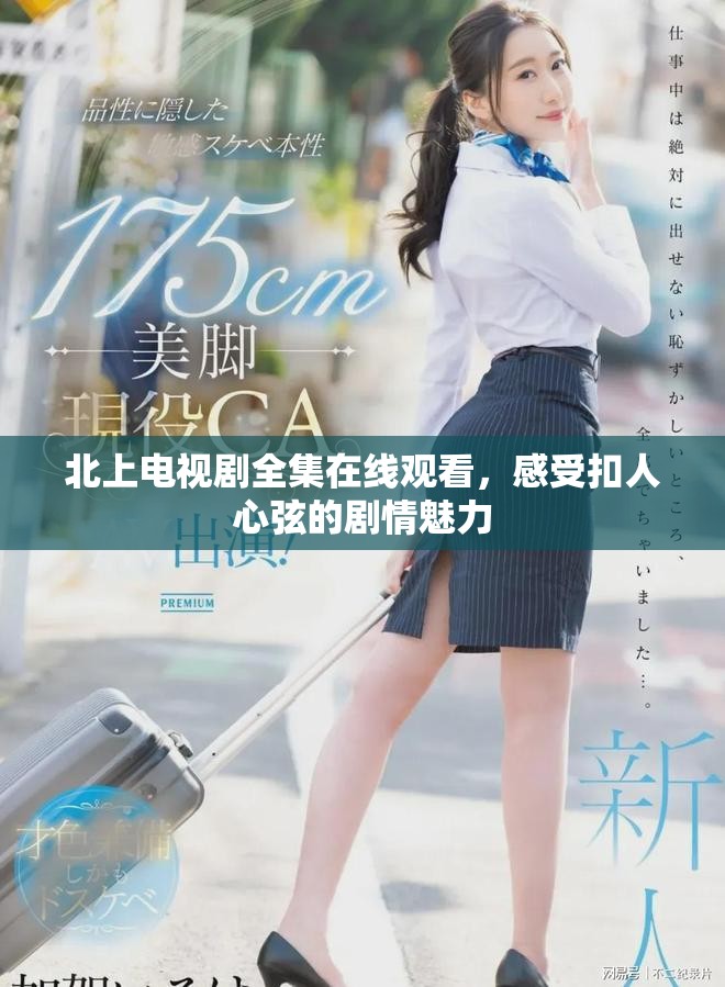 北上電視劇全集在線觀看，感受扣人心弦的劇情魅力