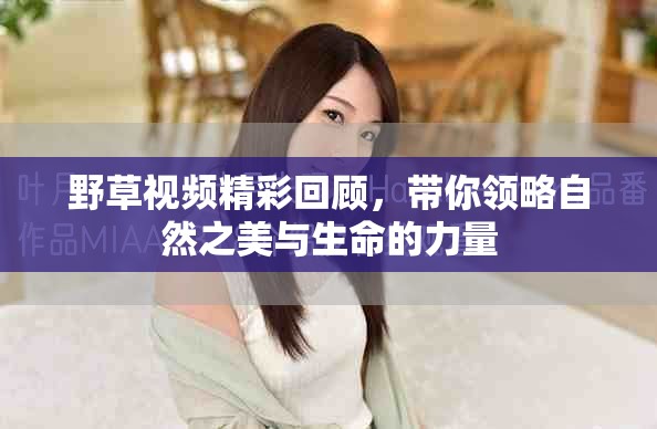 野草視頻精彩回顧，帶你領(lǐng)略自然之美與生命的力量