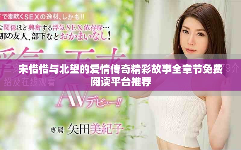 宋惜惜與北望的愛情傳奇精彩故事全章節(jié)免費閱讀平臺推薦