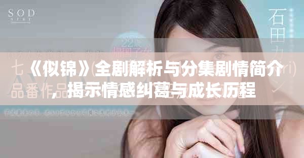 《似錦》全劇解析與分集劇情簡(jiǎn)介，揭示情感糾葛與成長(zhǎng)歷程