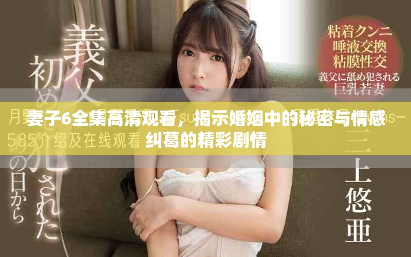 妻子6全集高清觀看，揭示婚姻中的秘密與情感糾葛的精彩劇情