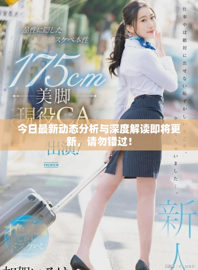 今日最新動態(tài)分析與深度解讀即將更新，請勿錯過！