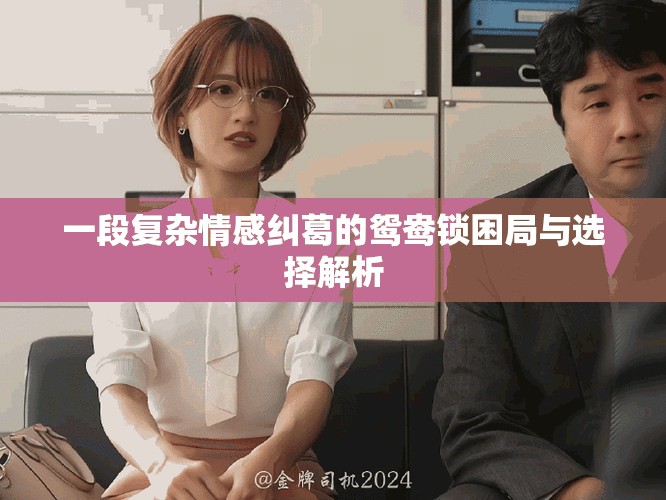 一段復(fù)雜情感糾葛的鴛鴦鎖困局與選擇解析