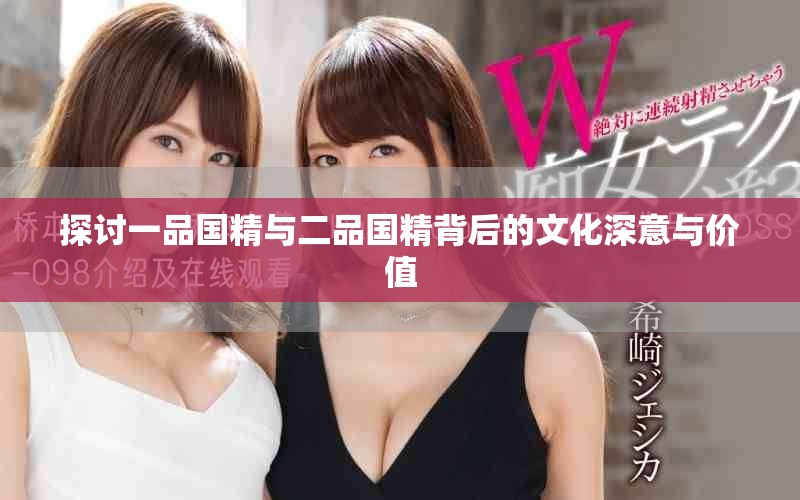 探討一品國精與二品國精背后的文化深意與價值