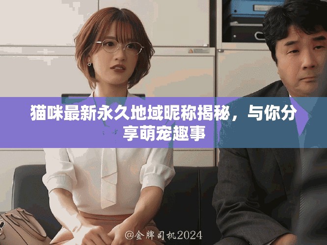 貓咪最新永久地域昵稱揭秘，與你分享萌寵趣事