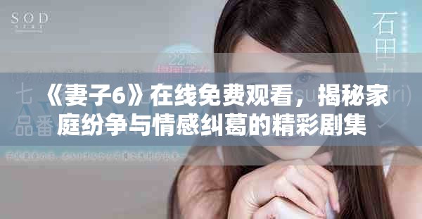 《妻子6》在線免費(fèi)觀看，揭秘家庭紛爭與情感糾葛的精彩劇集