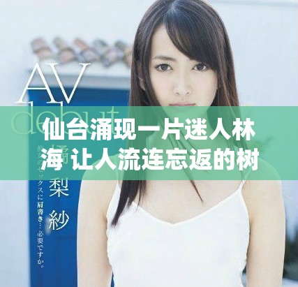 仙臺涌現(xiàn)一片迷人林海 讓人流連忘返的樹木景觀