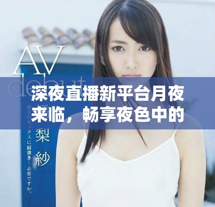 深夜直播新平臺(tái)月夜來(lái)臨，暢享夜色中的獨(dú)特體驗(yàn)與互動(dòng)樂(lè)趣