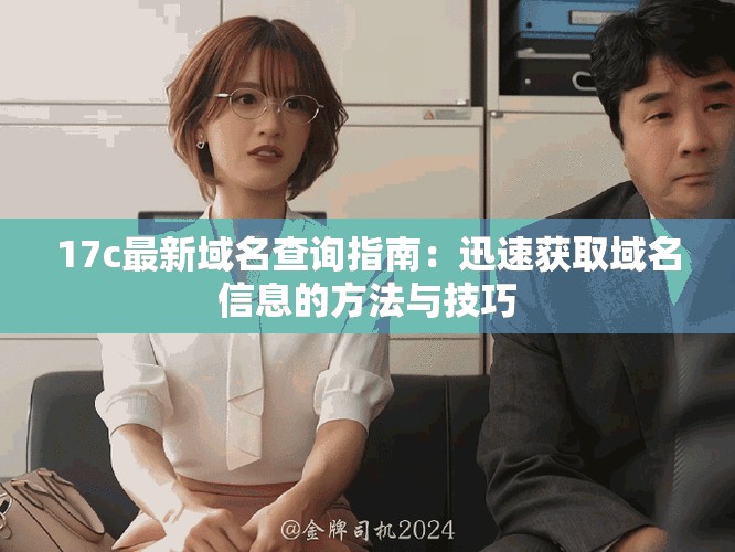 17c最新域名查詢指南：迅速獲取域名信息的方法與技巧