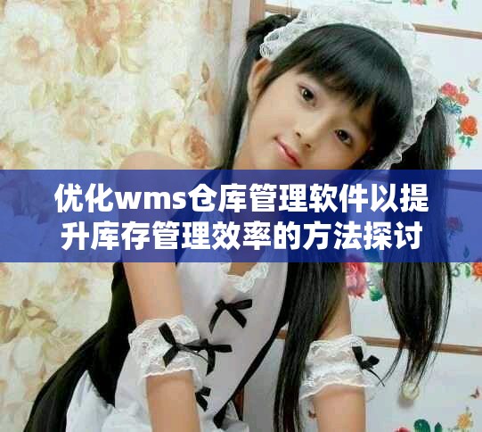 優(yōu)化wms倉庫管理軟件以提升庫存管理效率的方法探討