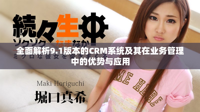全面解析9.1版本的CRM系統(tǒng)及其在業(yè)務(wù)管理中的優(yōu)勢(shì)與應(yīng)用