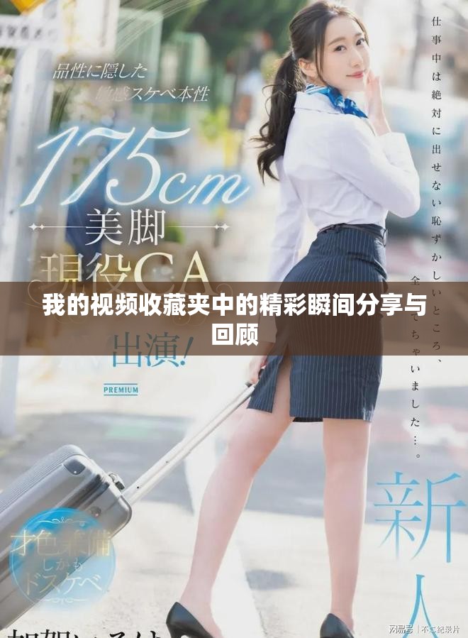 我的視頻收藏夾中的精彩瞬間分享與回顧