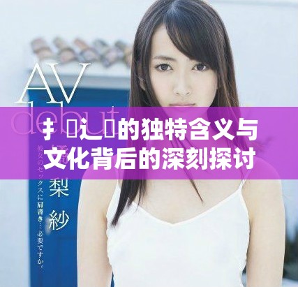 扌喿辶畐的獨(dú)特含義與文化背后的深刻探討