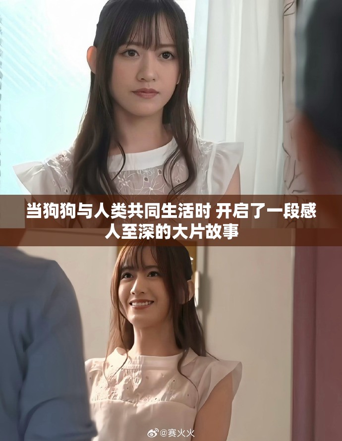 當狗狗與人類共同生活時 開啟了一段感人至深的大片故事