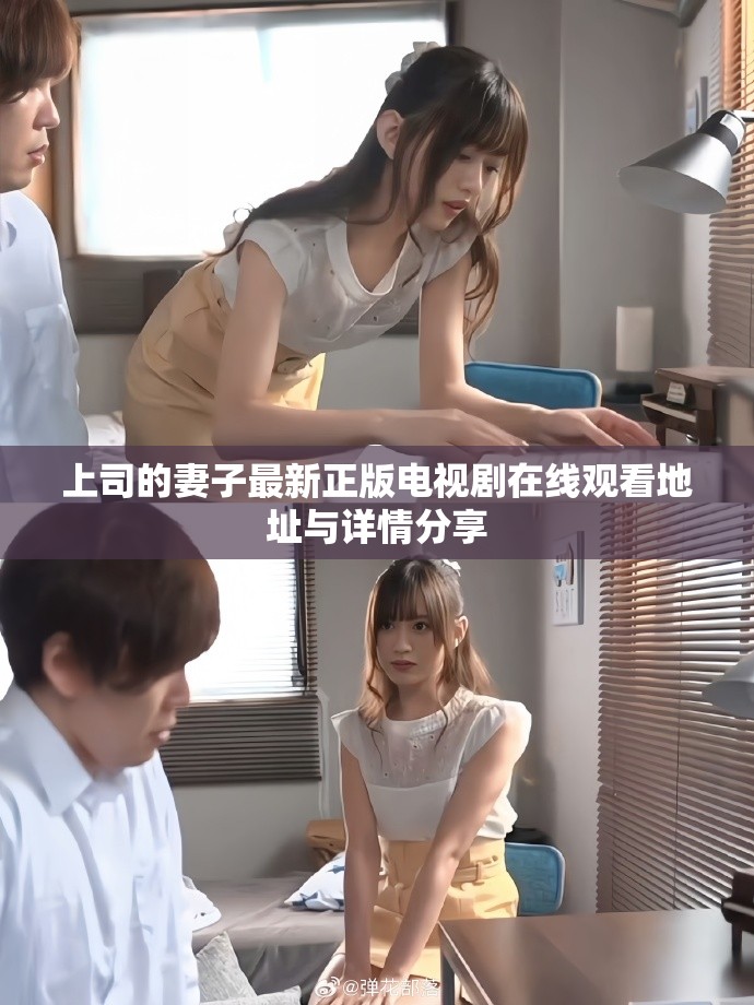 上司的妻子最新正版電視劇在線觀看地址與詳情分享