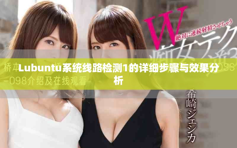 Lubuntu系統(tǒng)線路檢測1的詳細(xì)步驟與效果分析