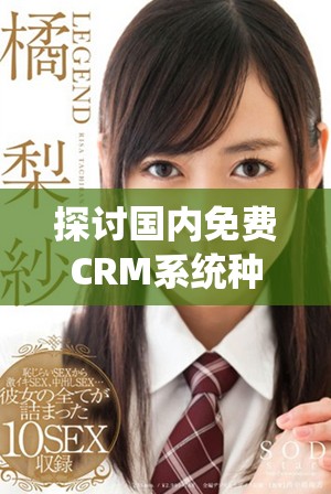 探討國內(nèi)免費(fèi)CRM系統(tǒng)種類及其在線使用優(yōu)勢(shì)分析
