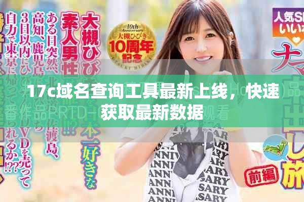 17c域名查詢(xún)工具最新上線，快速獲取最新數(shù)據(jù)