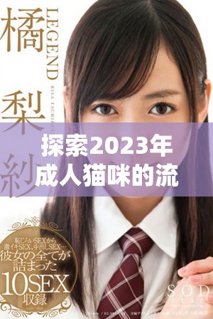 探索2023年成人貓咪的流行地域網名有哪些新趨向