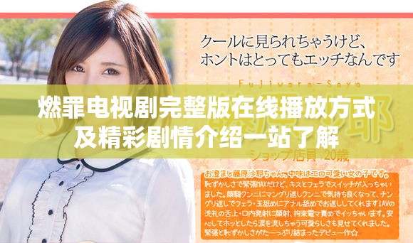 燃罪電視劇完整版在線播放方式及精彩劇情介紹一站了解